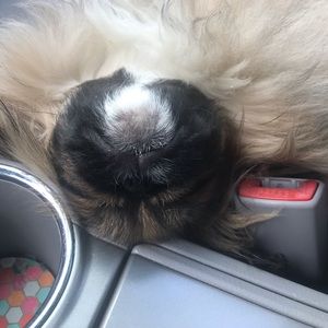 Meet your Posher, Matt